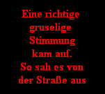 Eine richtige 
gruselige 
Stimmung
kam auf.
So sah es von
der Strae aus